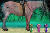 Horse Color:Blue Roan Varnish 
