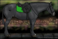 Horse Color:Black Appaloosa