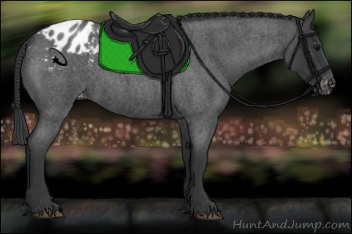 Horse Color:Blue Roan Varnish
