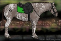 Horse Color:Liver Chestnut Ice 