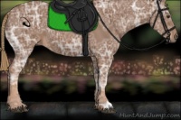 Horse Color:Chestnut Ice 