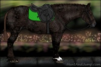 Horse Color:Liver Chestnut Ice 