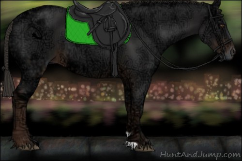 Horse Color:Liver Chestnut Ice 