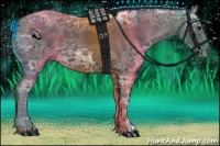 Horse Color:Black Ice 