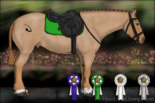 Horse Color:Red Roan 