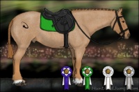 Horse Color:Red Roan 