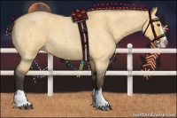 Horse Color:Buckskin Roan Dun Splash 