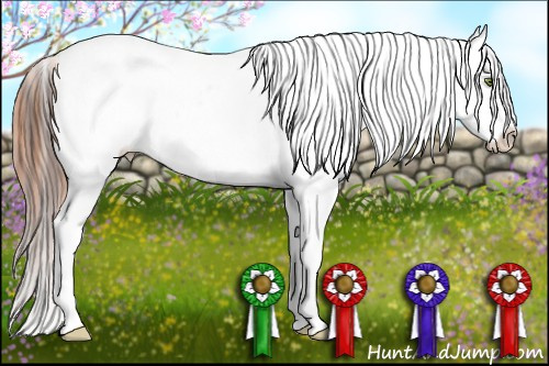 Horse Color:Sable Champagne Near Fewspot and White Spotted Brown Near Fewspot