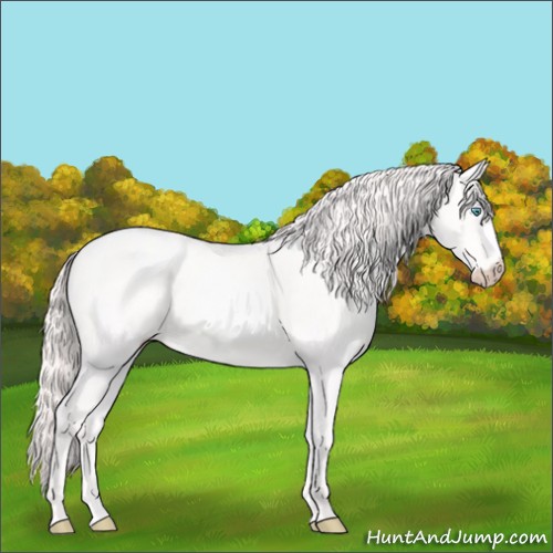 Horse Color:Perlino 