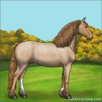 Horse Color:Red Roan 