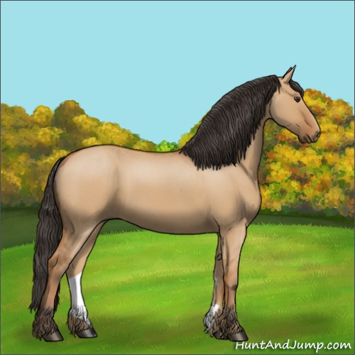 Horse Color:Bay Dun 