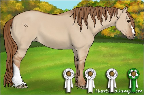 Horse Color:Red Dun 