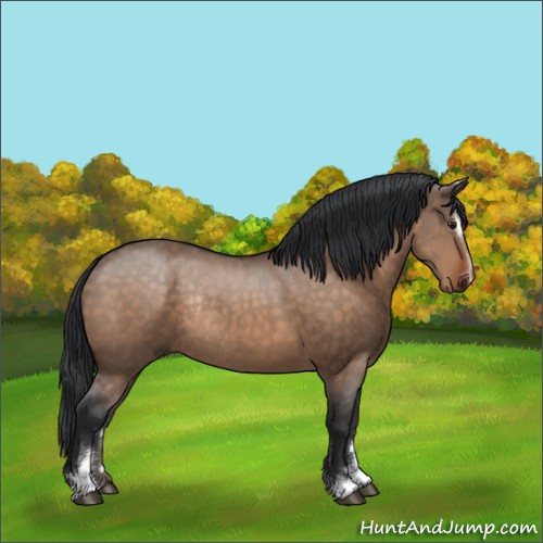 Horse Color:Brown Dun Sabino Rabicano