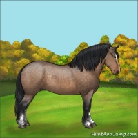 Horse Color:Brown Dun Sabino Rabicano