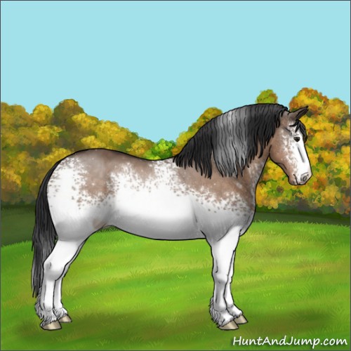 Horse Color:White Spotted Brown Dun Sabino 