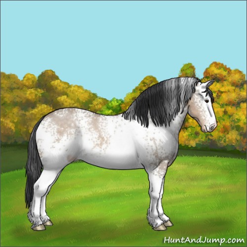Horse Color:White Spotted Brown Dun Sabino