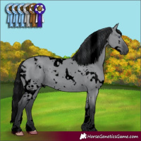 Horse Color:Void White Spotted Grullo Chinchilla 