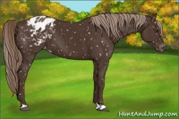 Horse Color:Liver Chestnut Snowflake Varnish 