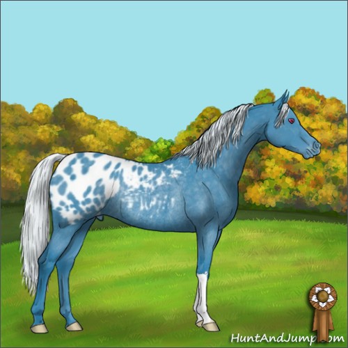 Horse Color:Watercolor Silver Black Chinchilla Appaloosa Rabicano 