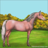 Horse Color:Silver Black Chinchilla Pearl 