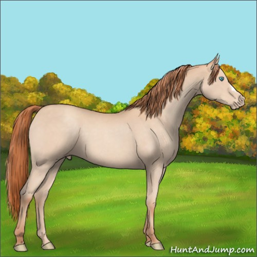 Horse Color:Gray Smoky Creme Roan