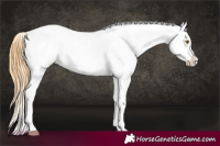 Horse Color:Classic Cream Champagne Appaloosa 