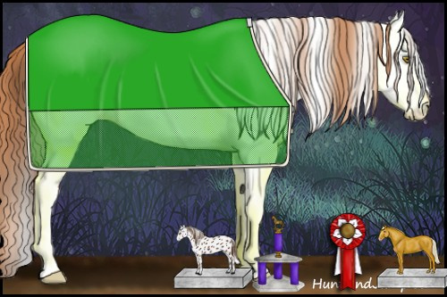 Horse Color:Gold Champagne Appaloosa 