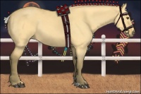 Horse Color:Silver Buckskin Dun 