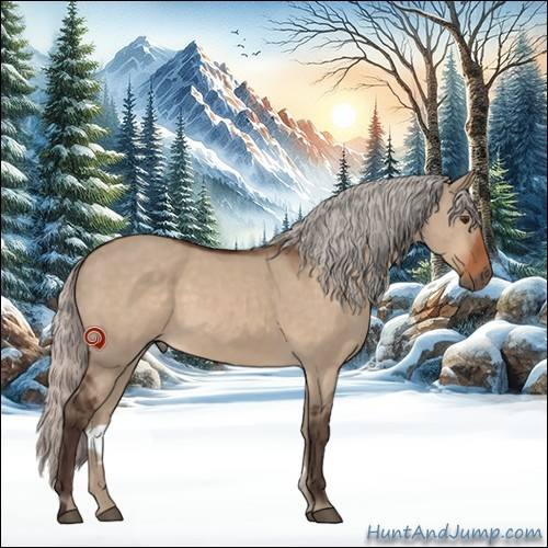 Horse Color:Silver Brown Dun 