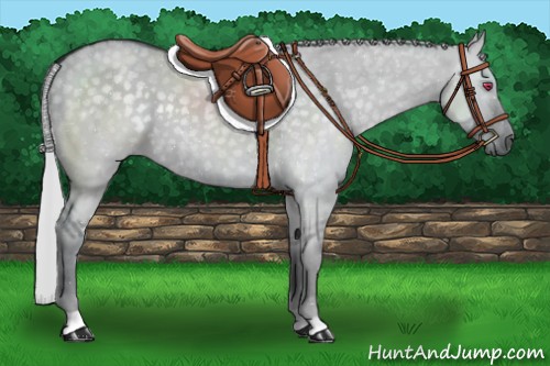 Horse Color:Silver Grullo Chinchilla 