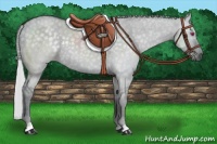 Horse Color:Silver Grullo Chinchilla 