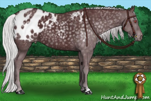 Horse Color:Chocolate Silver Black Chinchilla Blanket
