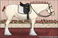 Horse Color:Buckskin Roan Pearl  and Buckskin Roan Pearl 