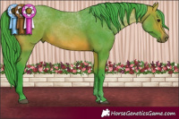 Horse Color:Watercolor Bay 