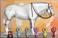 Horse Color:Palomino Dun Fewspot 