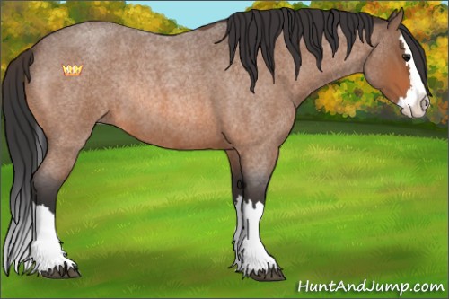 Horse Color:Bay Roan Sabino Splash Rabicano 