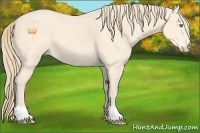 Horse Color:Perlino 