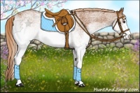 Horse Color:White Spotted Chestnut 