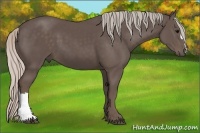 Horse Color:Silver Black 