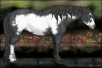 Horse Color:Smoky Black Frame Rabicano