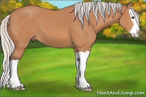 Horse Color:Silver Bay Splash 