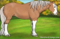 Horse Color:Silver Bay Splash 