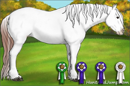 Horse Color:White Spotted Bay Appaloosa Rabicano