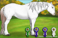 Horse Color:White Spotted Bay Appaloosa Rabicano 