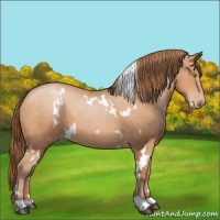 Horse Color:White Spotted Bay Pearl 