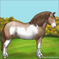 Horse Color:White Spotted Liver Chestnut Pearl Frame 