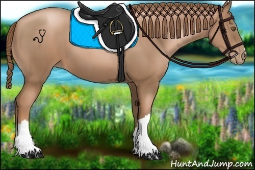 Horse Color:Liver Chestnut Pearl 