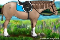 Horse Color:Liver Chestnut Pearl