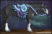 Horse Color:Black Sabino