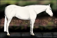 Horse Color:Silver Smoky Creme Dun 
